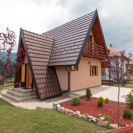 Mountain House Popovic Tara Villa Баина Баща Екстериор снимка